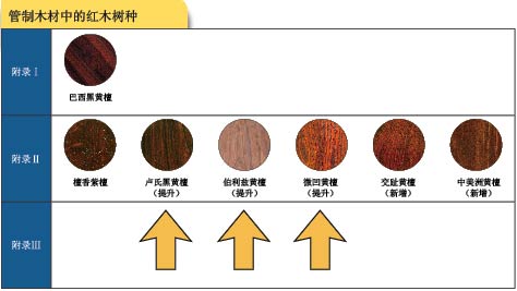 受管制红蘑菇树种